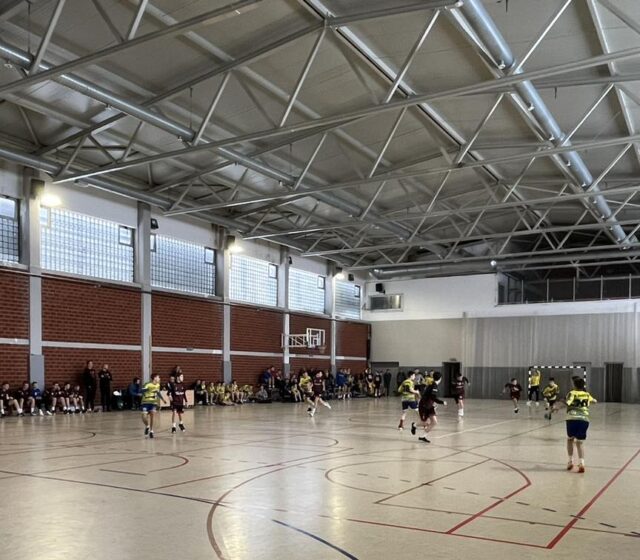 Rukometna Omladinska liga JUG